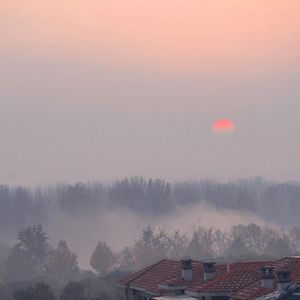 亀头责めでしません的读音
